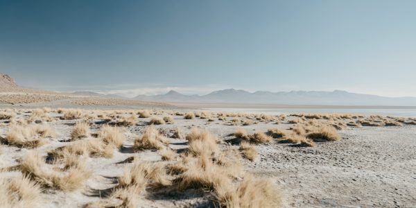 Declaran Oficialmente El Fen Meno De El Ni O A Nivel Mundial Campestre